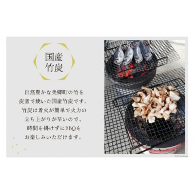 竹炭 宇納間産竹炭 2kg ROCKY WOOD JOB 宮崎県 美郷町 炭 [31bh0008]