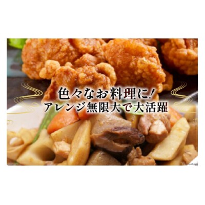 若鶏 むね 切身 小分け 250g×28袋セット 合計7kg 九州児湯フーズ [31aj0052]