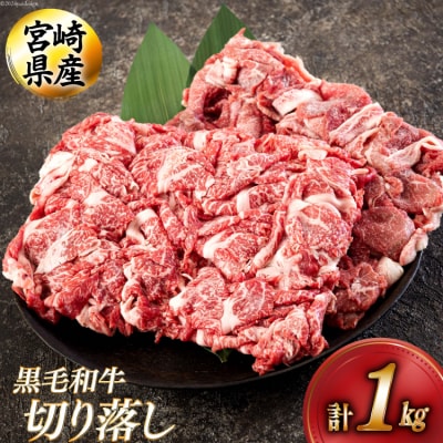 黒毛和牛 切り落とし 500g×2 計1kg アグリ産業匠泰 宮崎県 美郷町 [31be0048]