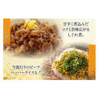 黒毛和牛 切り落とし 500g×2 計1kg アグリ産業匠泰 宮崎県 美郷町 [31be0048]