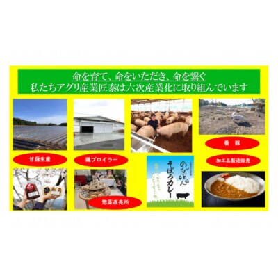 豚肉 切り落とし 宮崎県産 豚 切り落し 500g × 6 計3kg [31be0060]