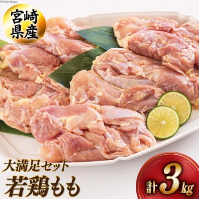 宮崎県産若鶏もも1kg×3 合計3kg アグリ産業匠泰 宮崎県 美郷町 冷凍 [31be0046]