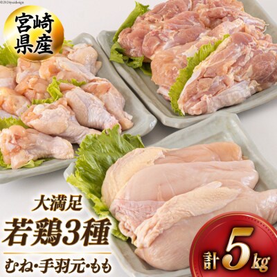 若鶏 むね 手羽元 もも 合計5kg 1kg包装 アグリ産業匠泰 宮崎県 [31be0045]
