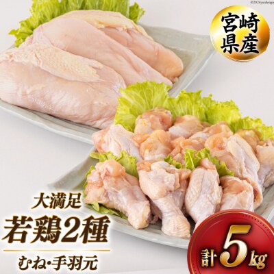 若鶏 むね 手羽元 合計5kg 1kg包装 アグリ産業匠泰 宮崎県 美郷町 [31be0044]