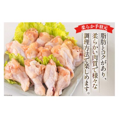 若鶏 むね 手羽元 合計5kg 1kg包装 アグリ産業匠泰 宮崎県 美郷町 [31be0044]