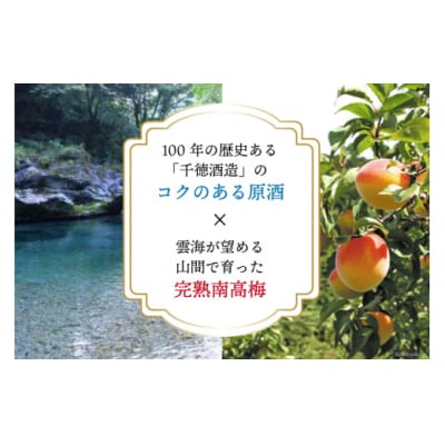 お酒 梅酒 完熟南高梅 使用 千徳梅酒 500ml 11度 千徳酒造 宮崎県 [31ad0004]