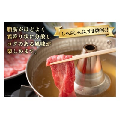 牛肉 宮崎牛 モモ スライス 500g ×2 計 1kg [31bb0031]