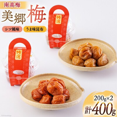 梅 南高梅 美郷梅使用 梅干し 昆布 シソ 風味 セット 3L サイズ [31ab0111]