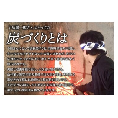 備長炭 緑仙白炭窯 日向備長炭 バーベキュー 用 2.5kg グリーンノーム [31ar0006]