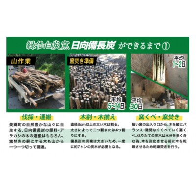 備長炭 緑仙白炭窯 日向備長炭 バーベキュー 用 2.5kg グリーンノーム [31ar0006]