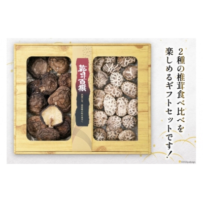 宮崎県産 乾椎茸 食べ比べ セット 天白 どんこ 80g 香信 40g 2種 [31ac0044]