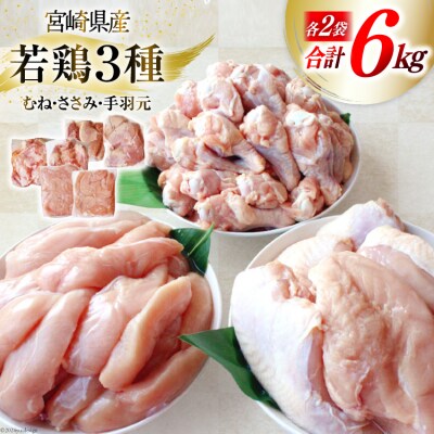 鶏肉 詰め合わせ 宮崎県産 若鶏 むね肉 ささみ 手羽元 セット 各1kg [31ai0022]