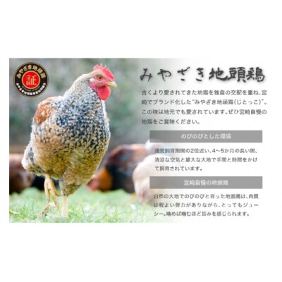 みやざき地頭鶏 3種ミックス 炭火焼 真空パック 150g×4袋 計600g [31al0004]