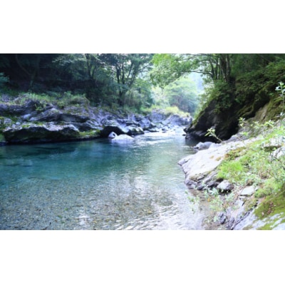 和菓子 栗おはぎ 6個入 × 2箱 栗きんとん はな恵 宮崎県 美郷町 菓子 [31am0004]