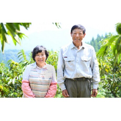 和菓子 栗おはぎ 6個入 × 2箱 栗きんとん はな恵 宮崎県 美郷町 菓子 [31am0004]