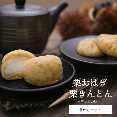 和菓子 栗きんとん & 栗おはぎ 各 6個入 × 2箱 はな恵 宮崎県 美郷町 [31am0006]