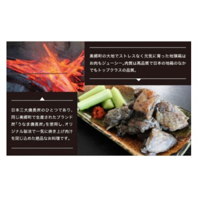 みやざき地頭鶏 炭火焼 真空パック 極み 120g×10袋 はに和 宮崎県 [31an0003]