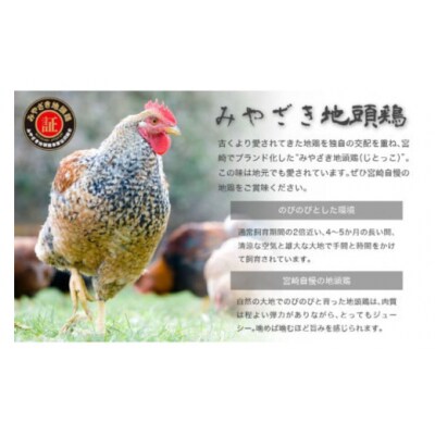 みやざき地頭鶏 炭火焼 真空パック 極み 120g×2袋 はに和 宮崎県 [31an0004]