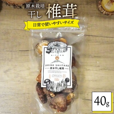 宮崎県産 乾燥 椎茸 40g×1袋 チャック袋入 HUTTE 宮崎県 美郷町 [31ao0011]
