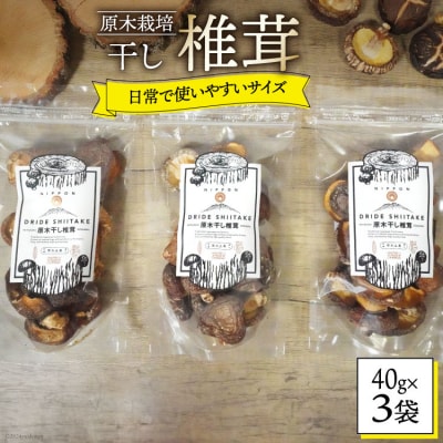 宮崎県産 乾燥 椎茸 40g×3袋 チャック袋入 HUTTE 宮崎県 美郷町 [31ao0012]