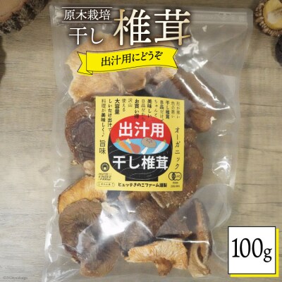 宮崎県産 乾燥 椎茸 100g×1袋 チャック袋入 HUTTE 宮崎県 美郷町 [31ao0013]