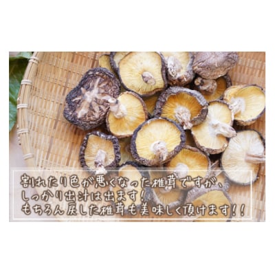 宮崎県産 乾燥 椎茸 100g×1袋 チャック袋入 HUTTE 宮崎県 美郷町 [31ao0013]