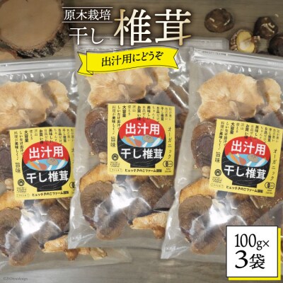 宮崎県産 乾燥 椎茸 100g×3袋 チャック袋入 HUTTE 宮崎県 美郷町 [31ao0014]