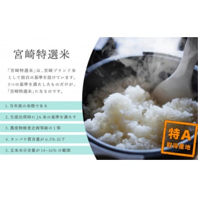 令和5年度産 米 宮崎特選米(ひむか米) ひのひかり 5kg [31ap0008]