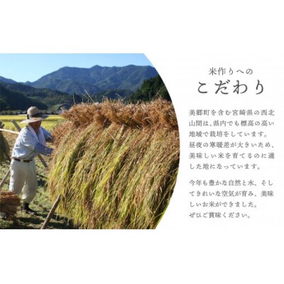 米 キューブ ひのひかり 3種 みさと米 ひむか米 うなま米 300g×3個 [31ap0009]