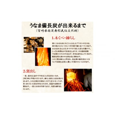 うなま 備長炭 (2級並) 3kg 宮崎県農業協同組合 八菜館ひゅうが店 [31ap0012]