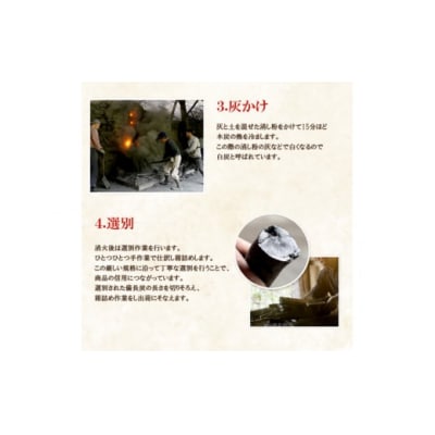 うなま 備長炭 (2級並) 3kg 宮崎県農業協同組合 八菜館ひゅうが店 [31ap0012]