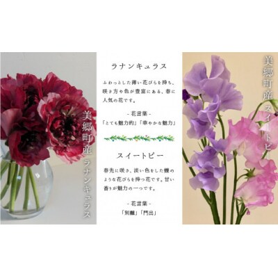 【期間限定発送】 生花 美郷の フラワー ボックス (小) 花のたかはし [31aq0003]