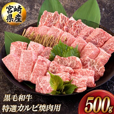 黒毛和牛 特選 カルビ 焼肉 500g アグリ産業匠泰 宮崎県 美郷町 牛肉 [31be0049]
