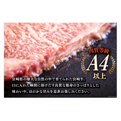 牛肉 ステーキ 宮崎牛 特上 ロースステーキ 300g ×2枚 計 600g [31be0053]