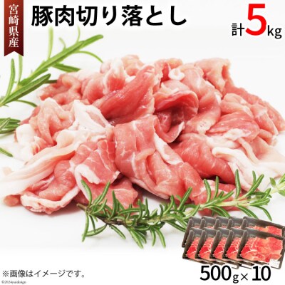 豚肉 切り落とし 宮崎県産 豚 切り落し 500g × 10 計5kg [31be0059]