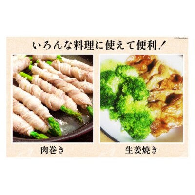 豚肉 切り落とし 宮崎県産 豚 切り落し 500g × 10 計5kg [31be0059]