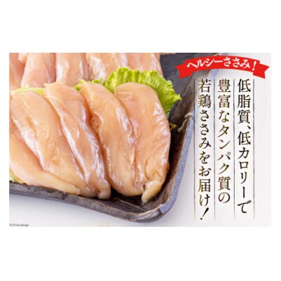 鶏肉 宮崎県産若鶏ささみ1kg×3 計3kg アグリ産業匠泰 宮崎県 美郷町 [31be0062]