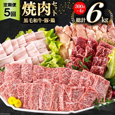 牛肉 5回 定期便 宮崎県産 焼肉 セット 黒毛和牛 モモ カルビ 豚バラ [31ba0038]