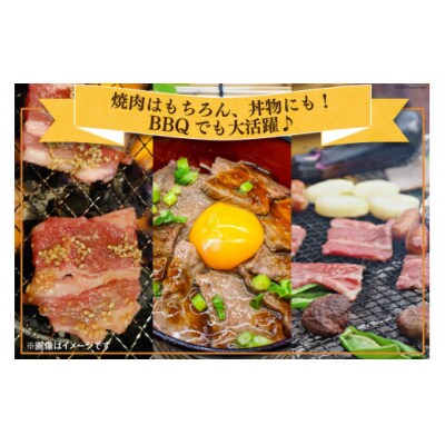 肉 牛肉 黒毛和牛バラ 焼肉用 300g×6 計1.8kg 甲斐精肉店 宮崎県 [31as0121]