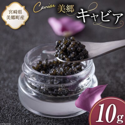 美郷 キャビア チョウザメ 10g 宮崎キャビア 宮崎県 美郷町 きんかん [31az0010]