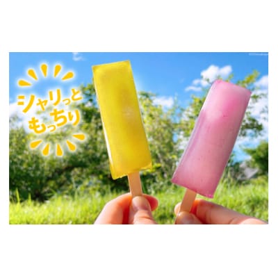 【期間限定発送】 溶けない フルーツバー 12本 セット 栗菓子工房みず穂屋 [31at0010]