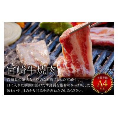 牛肉 焼肉 宮崎牛 ウデ モモ バラ 焼肉用 セット 各 400g 合計 [31au0097]