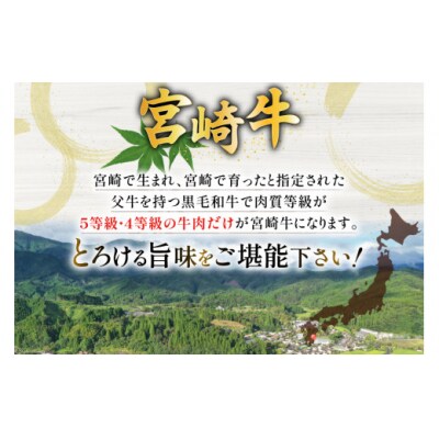 牛肉 宮崎牛 4種 食べ比べ スライス 計1.2kg ミヤチク 宮崎県 美郷町 [31au0099]