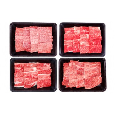 牛肉 宮崎牛 4種 食べ比べ 焼肉 計1.2kg ミヤチク 宮崎県 美郷町 [31au0100]