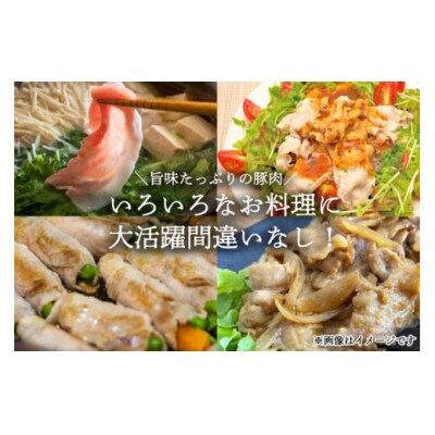 豚肉 ロース 宮崎県産 豚ロース しゃぶしゃぶ用 500g×3 計1.5kg [31au0101]