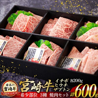 宮崎牛 希少部位 3種 焼肉 セット 合計600g ハツトリー 宮崎県 美郷町 [31aw0006]