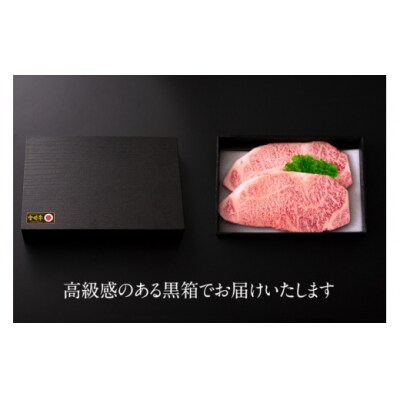 宮崎牛 サーロイン ステーキ 200g×2 合計400g ハツトリー 宮崎県 [31aw0007]