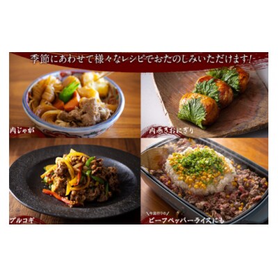 宮崎牛 ロース スライス 450g ハツトリー 宮崎県 美郷町 冷凍 牛肉 [31aw0008]
