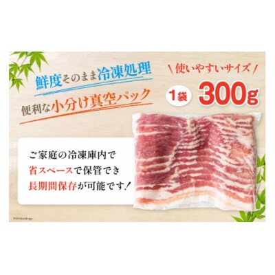 豚肉 宮崎県産 豚バラ スライス 300g ×5p 計 1.5kg 甲斐精肉店 [31as0113]