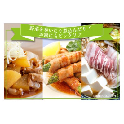 豚肉 宮崎県産 豚バラ スライス 300g ×5p 計 1.5kg 甲斐精肉店 [31as0113]